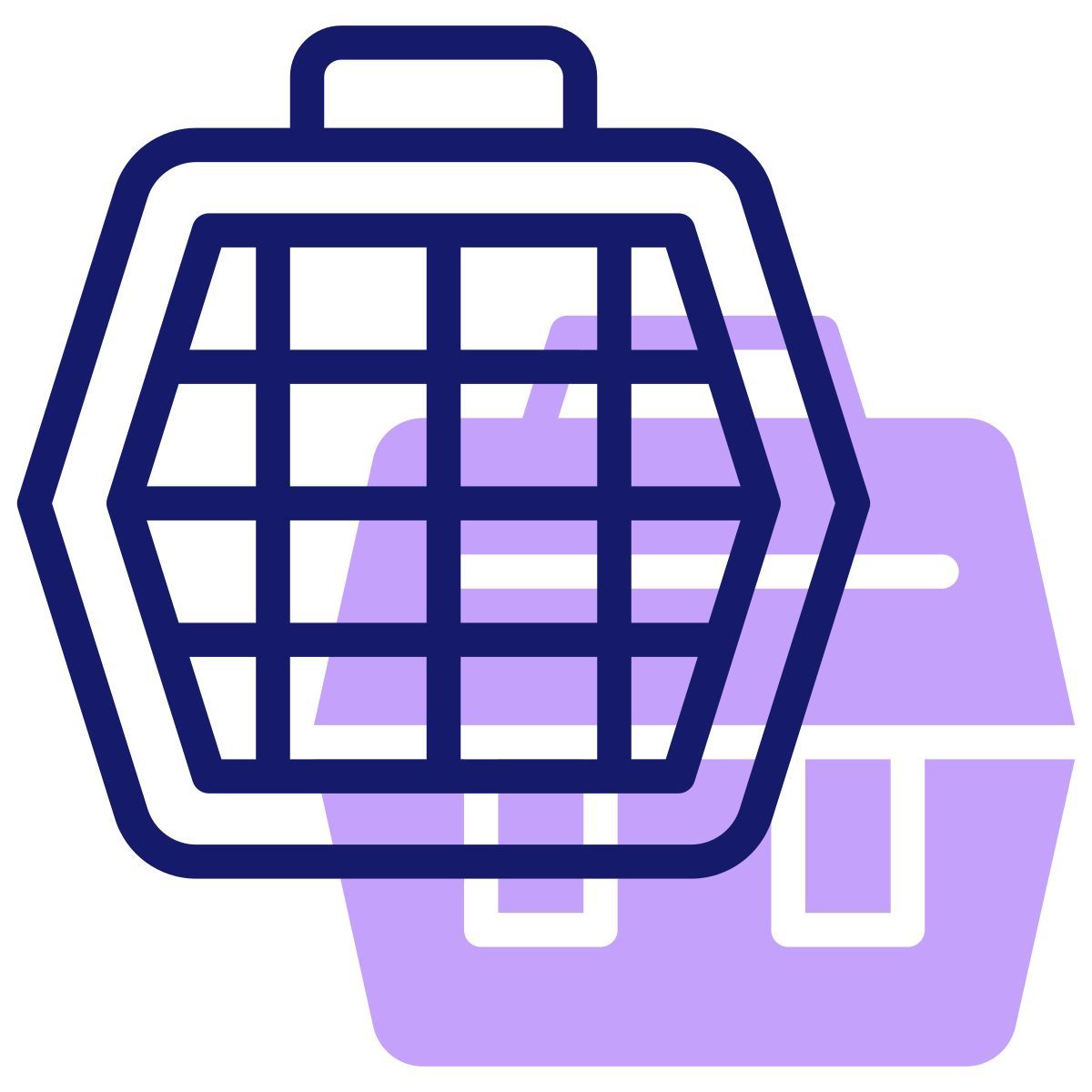 pet carrier icon
