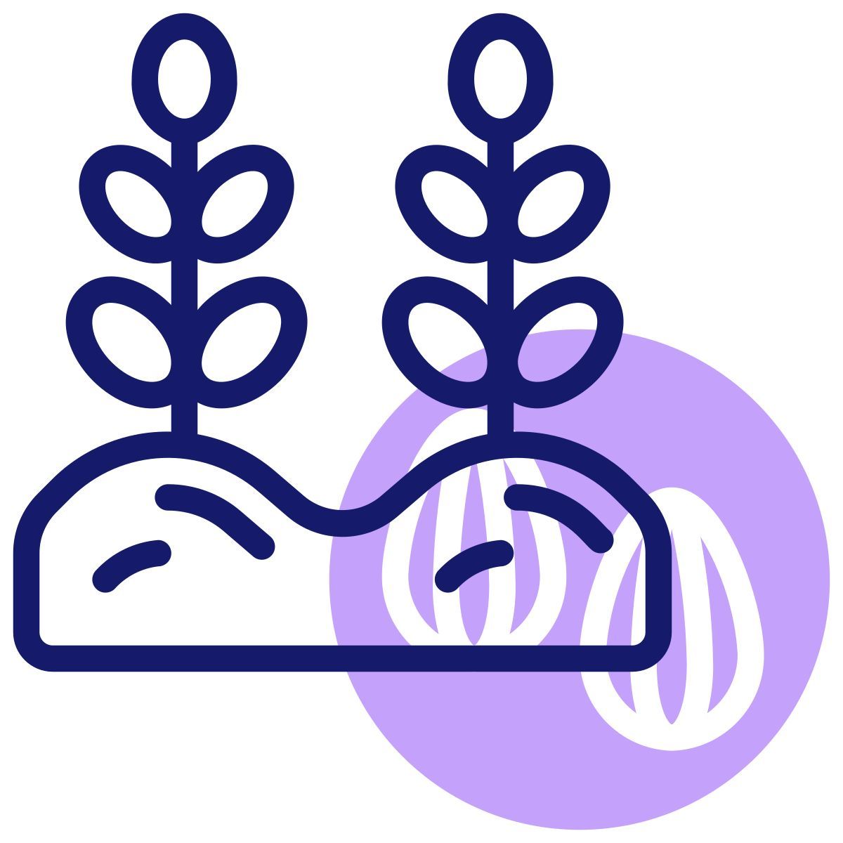 plant icon