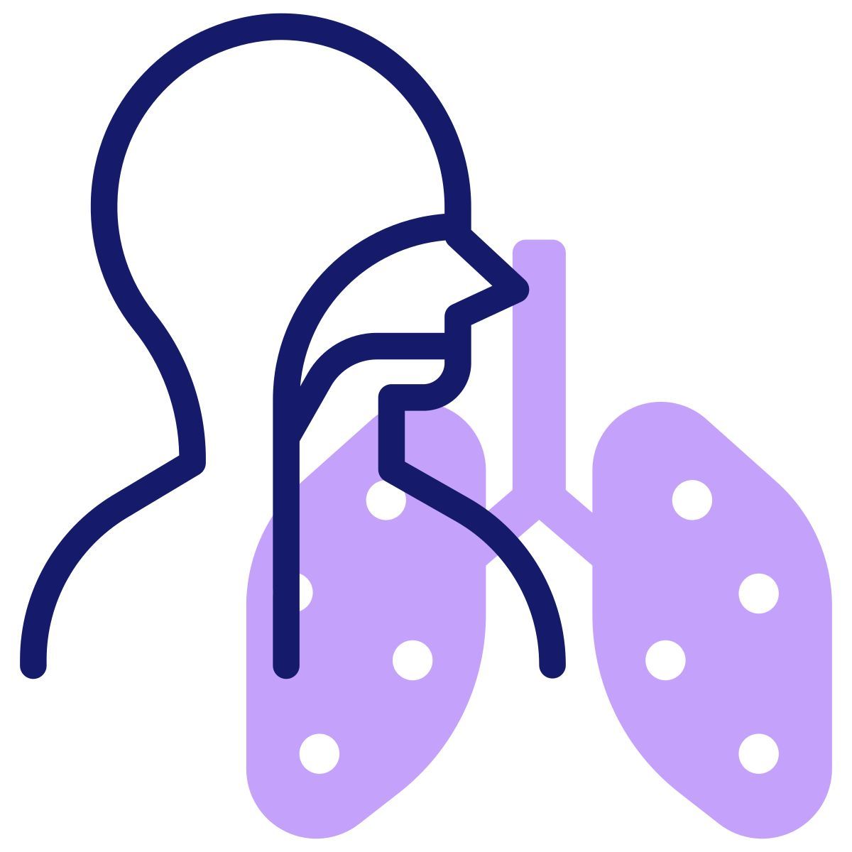 respiration icon