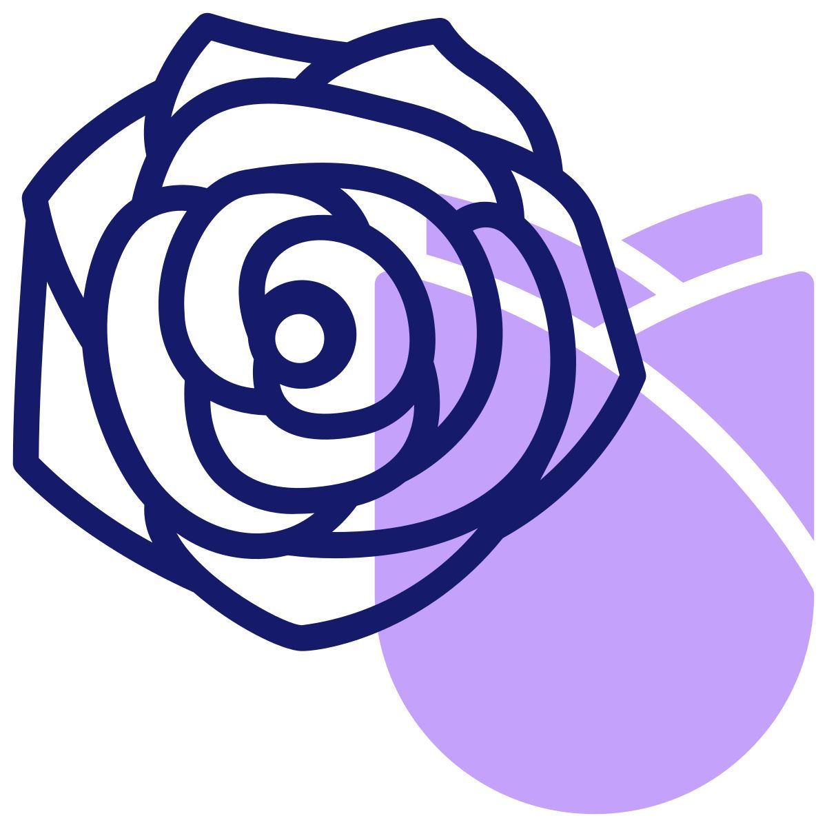 rosa icon