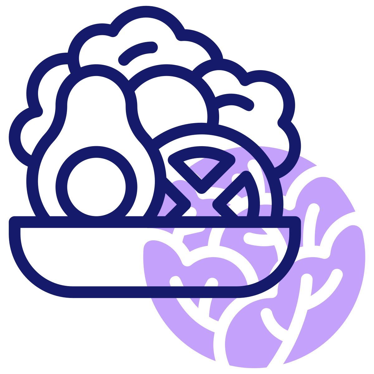 salad icon