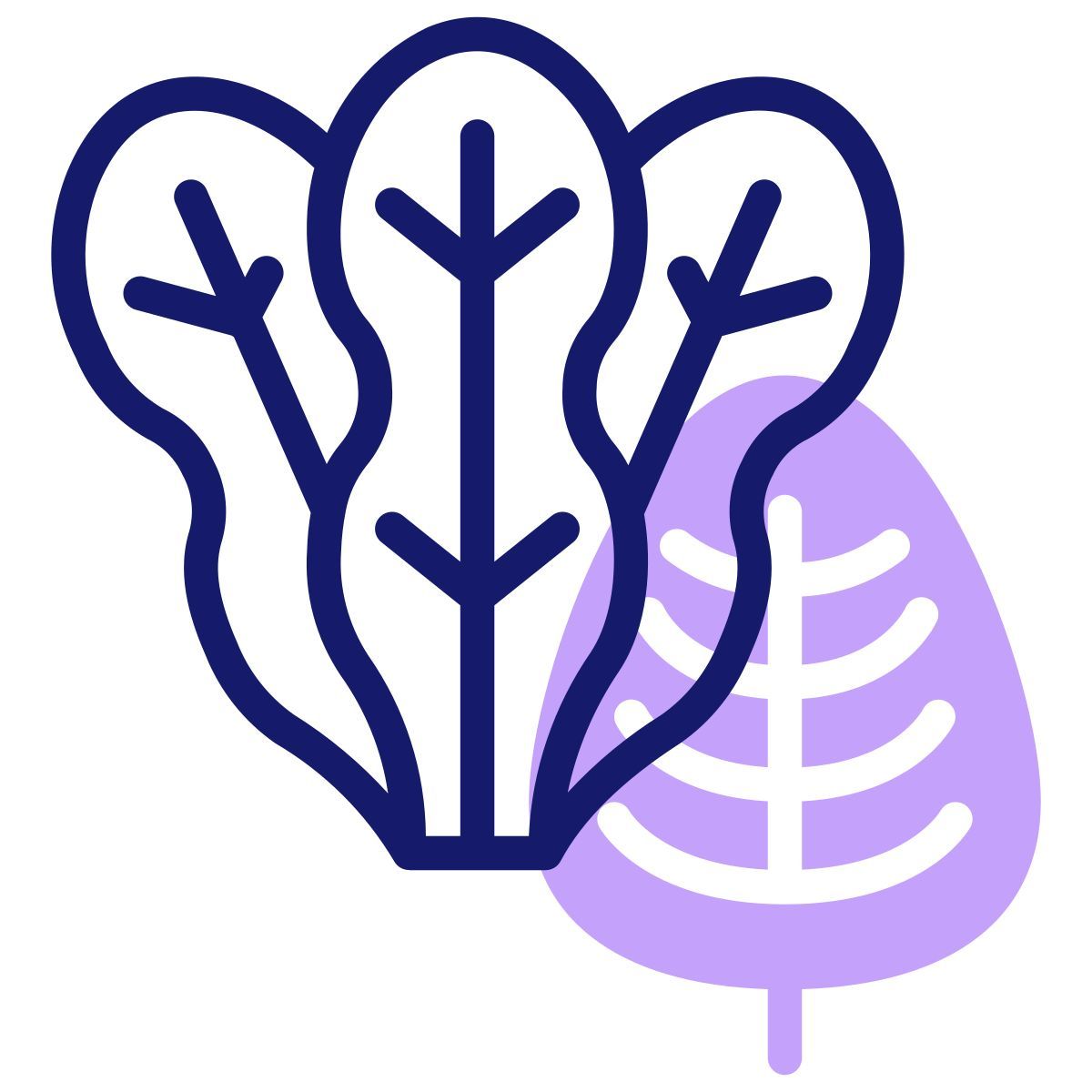 spinach icon