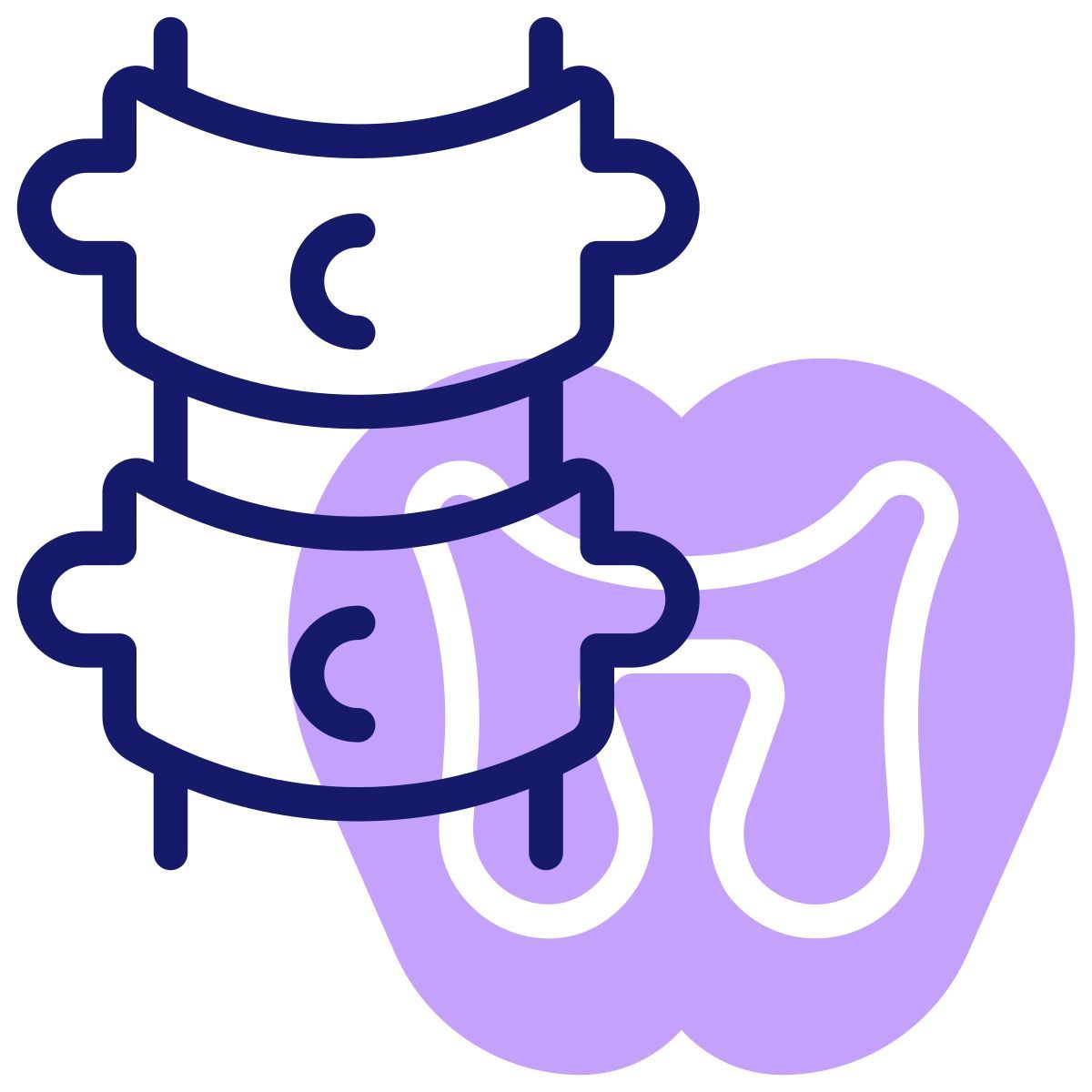 spinal icon