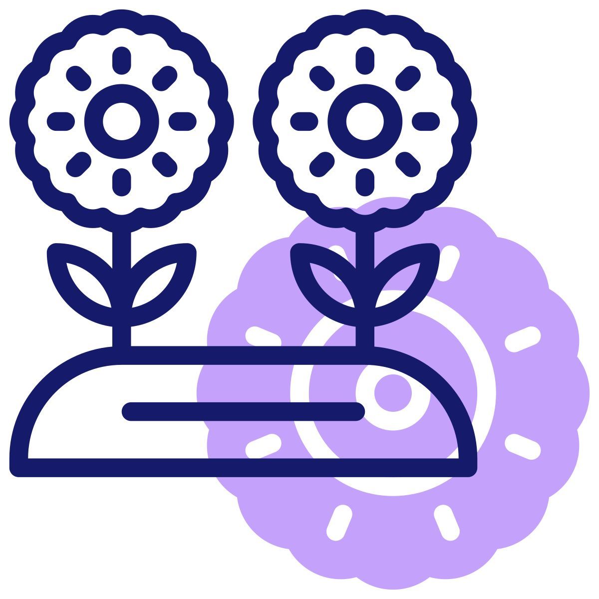 sunflower icon