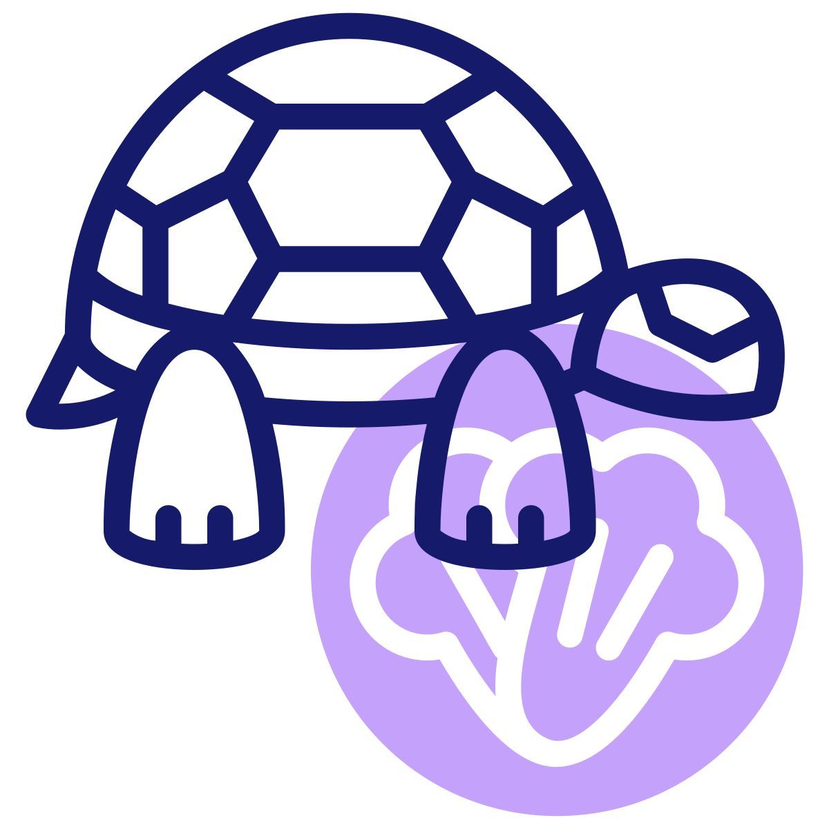 tortoise icon