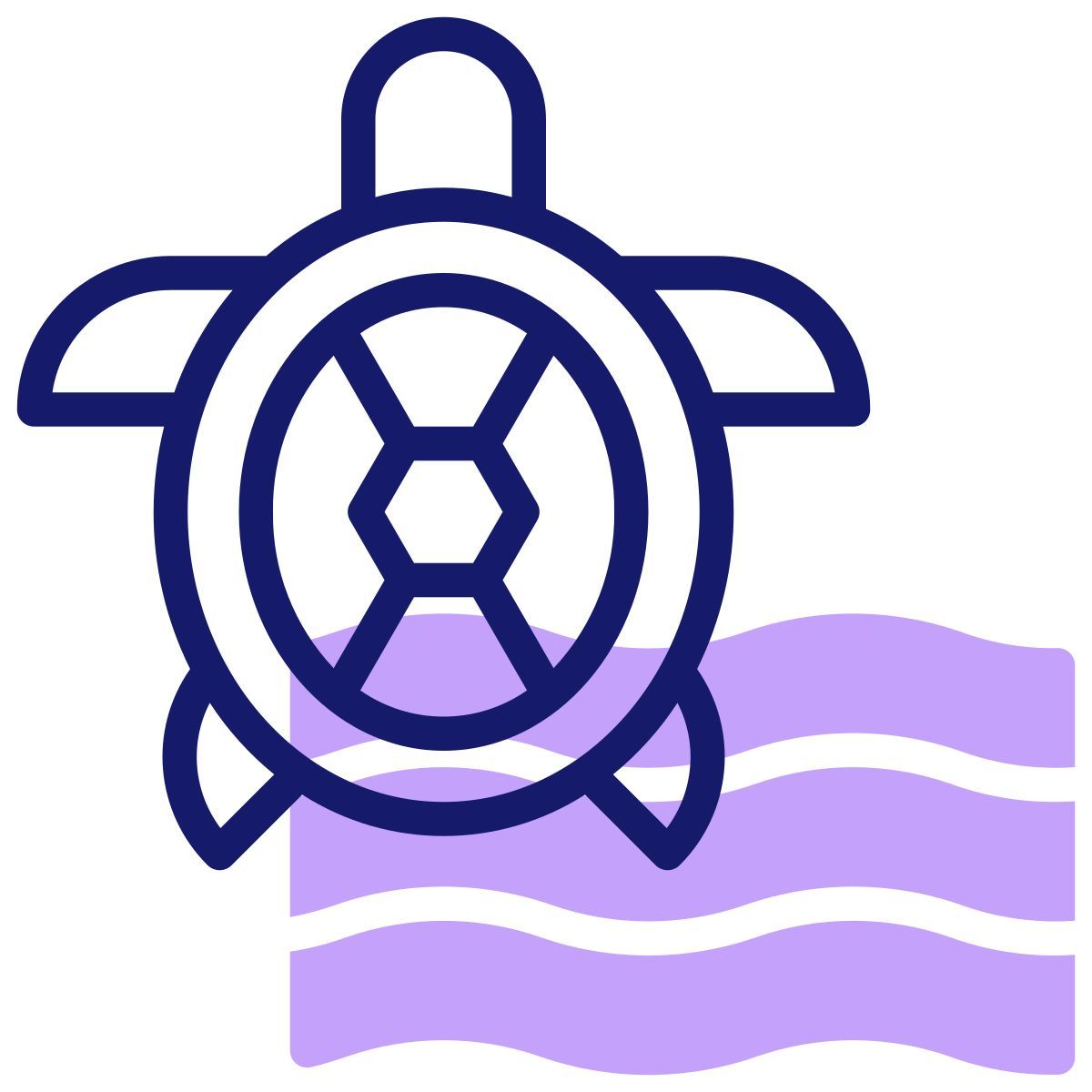 turtle icon