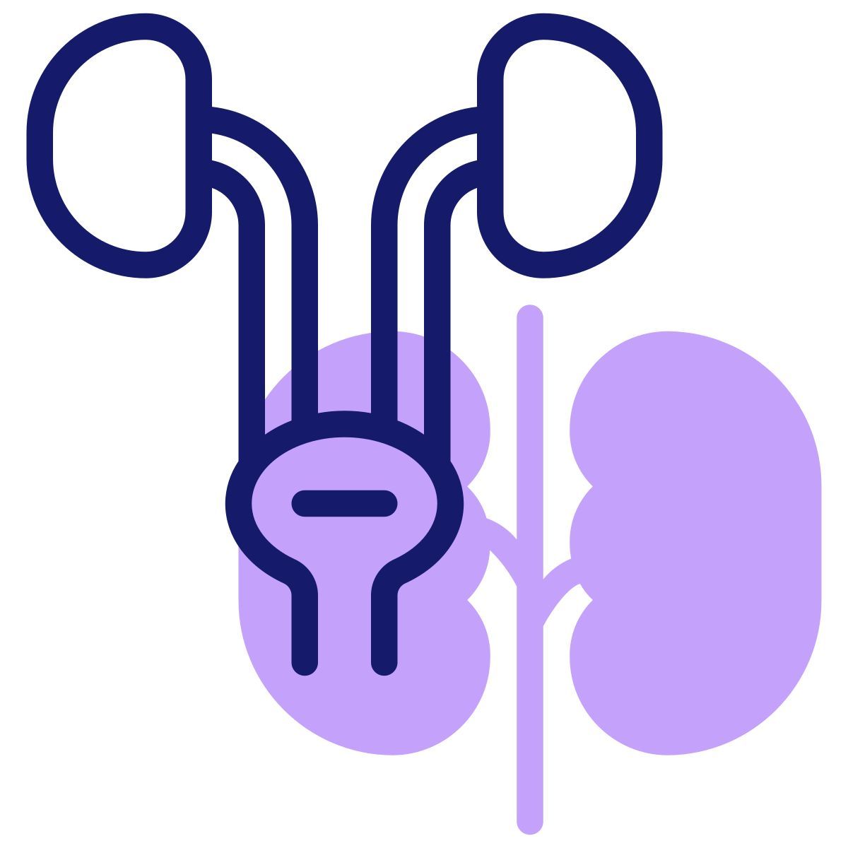urinary icon