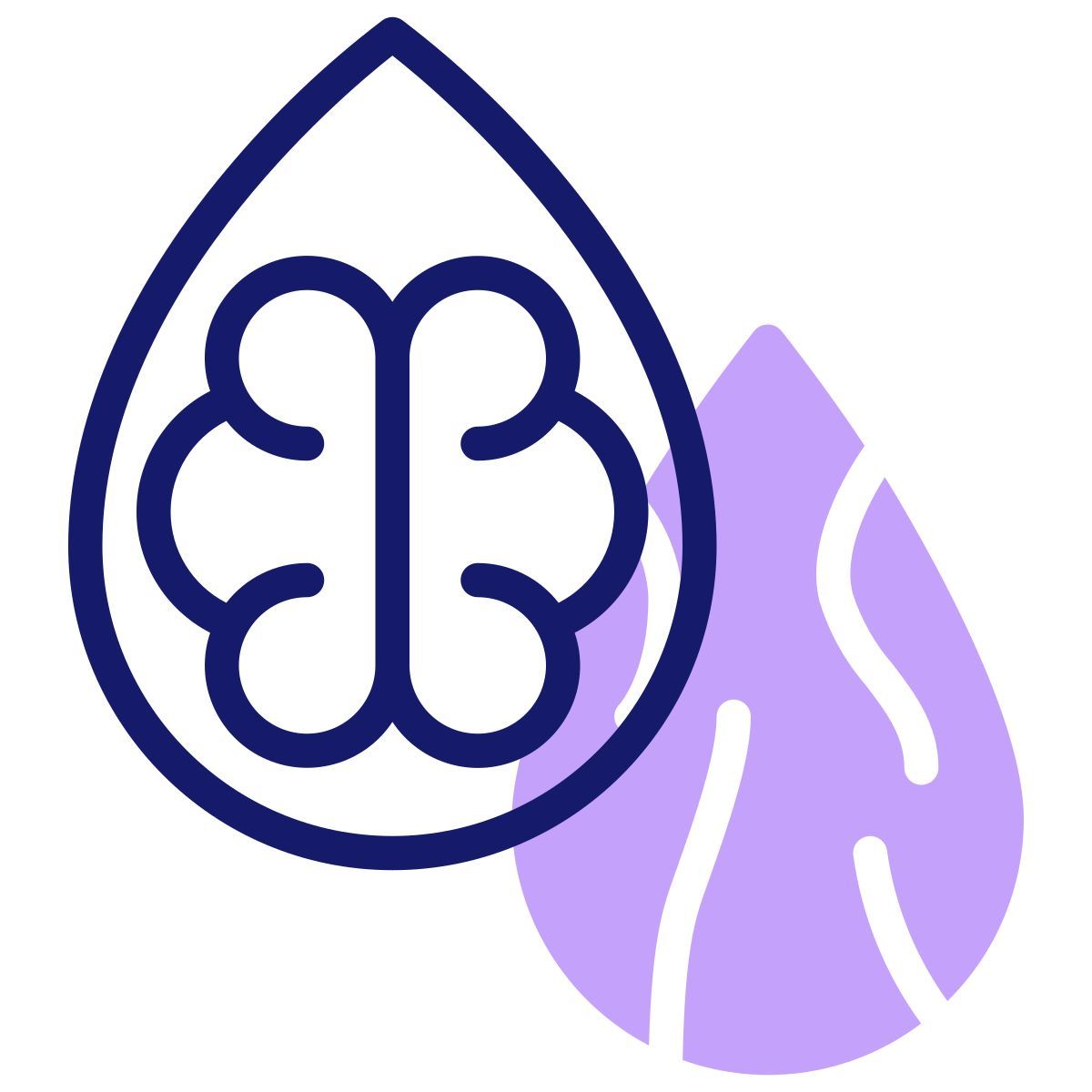 核桃 icon