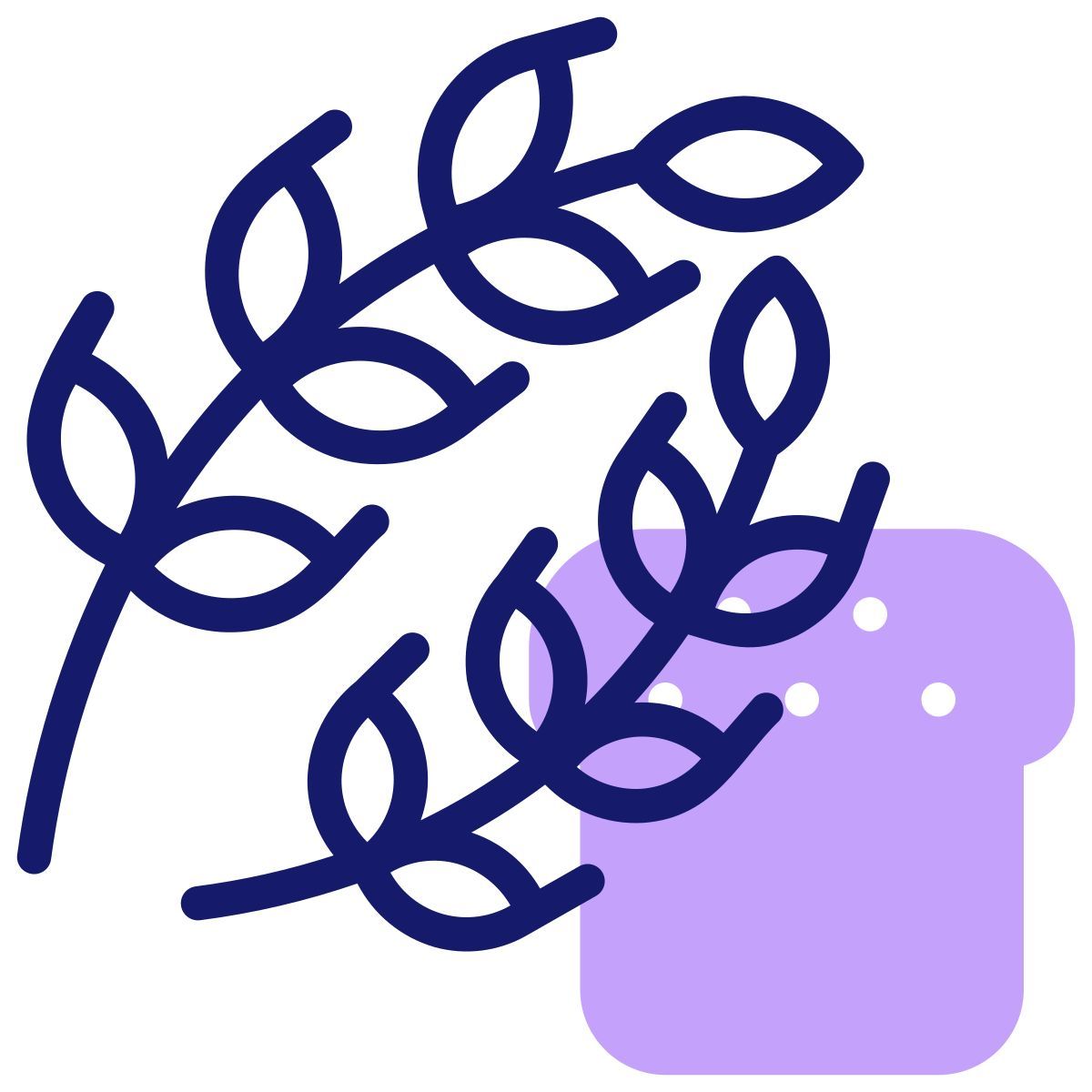 wheat icon
