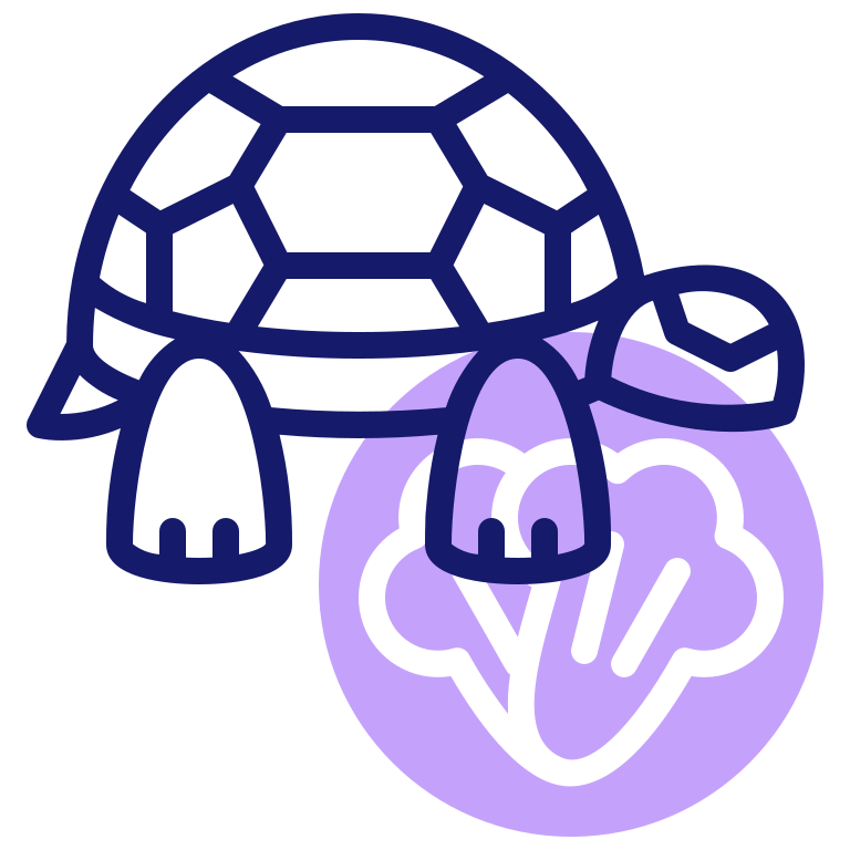 Tortoise のpngとsvgでのイラスト イメージ