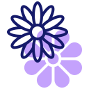 external daisy-florist-inipagistudio-lineal-color-inipagistudio icon
