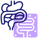 external digestion-metabolism-inipagistudio-lineal-color-inipagistudio icon