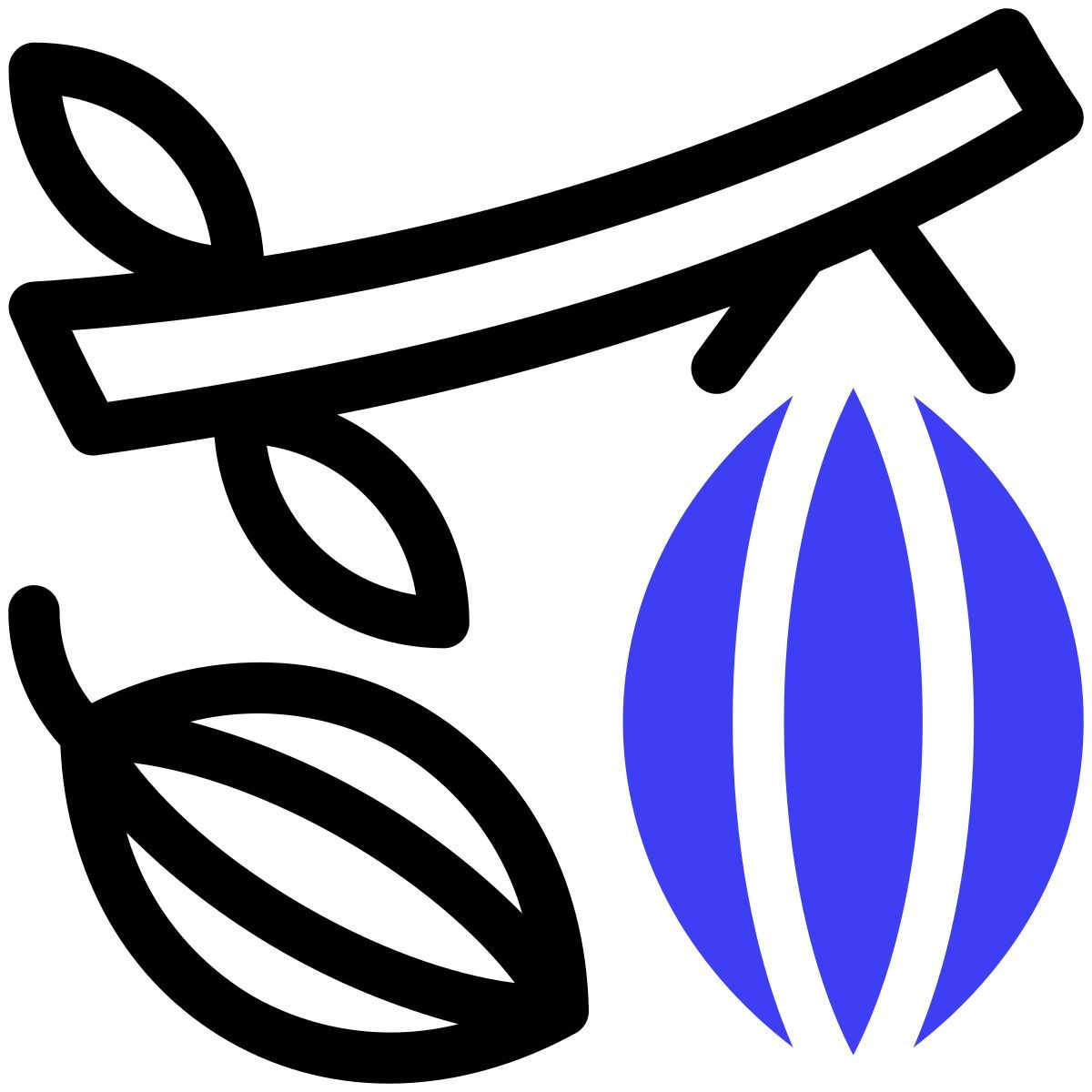 cacao icon