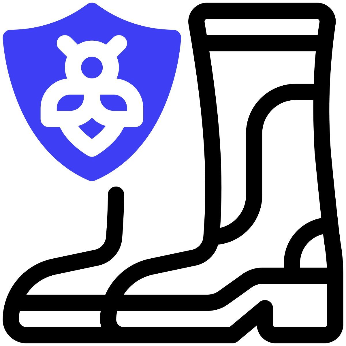 shoes icon