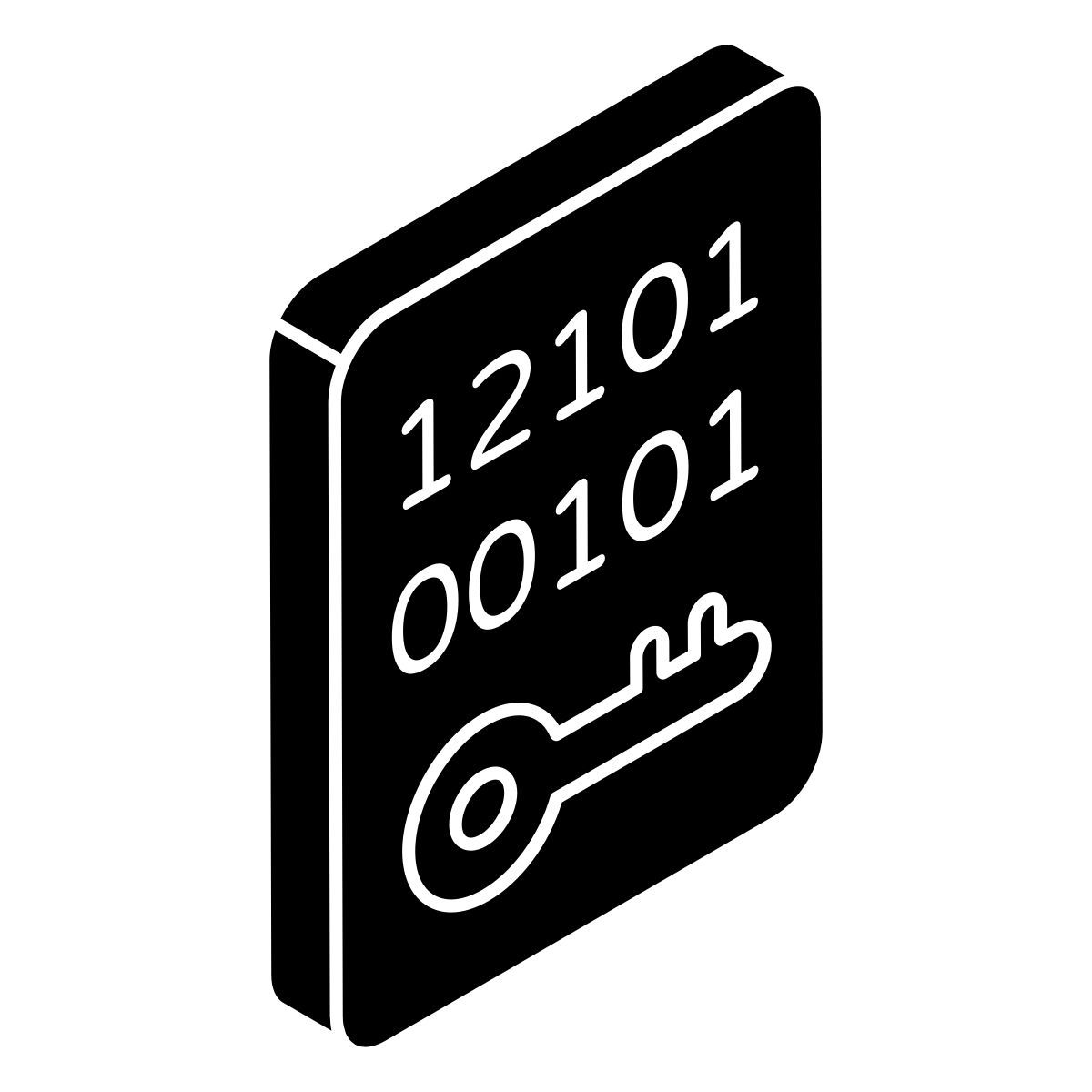 二进制数据访问 icon