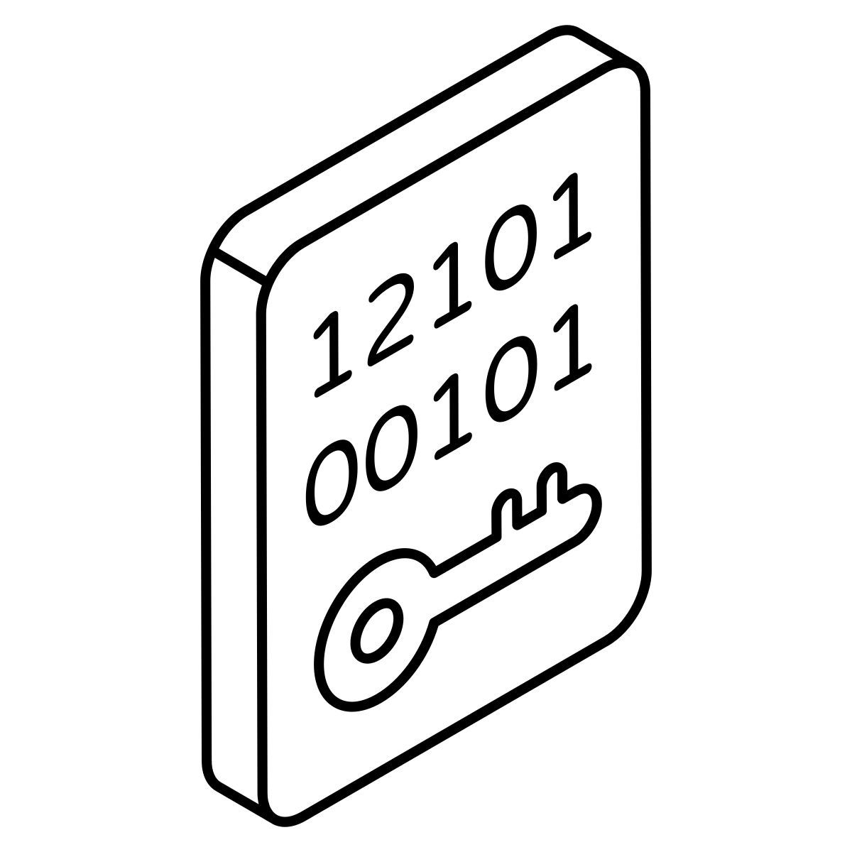 二进制数据访问 icon