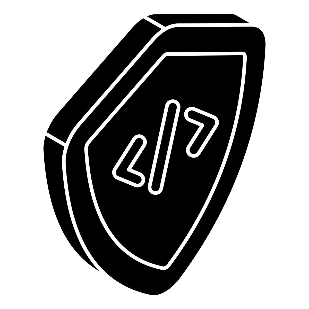 Seguridad de codificación icon