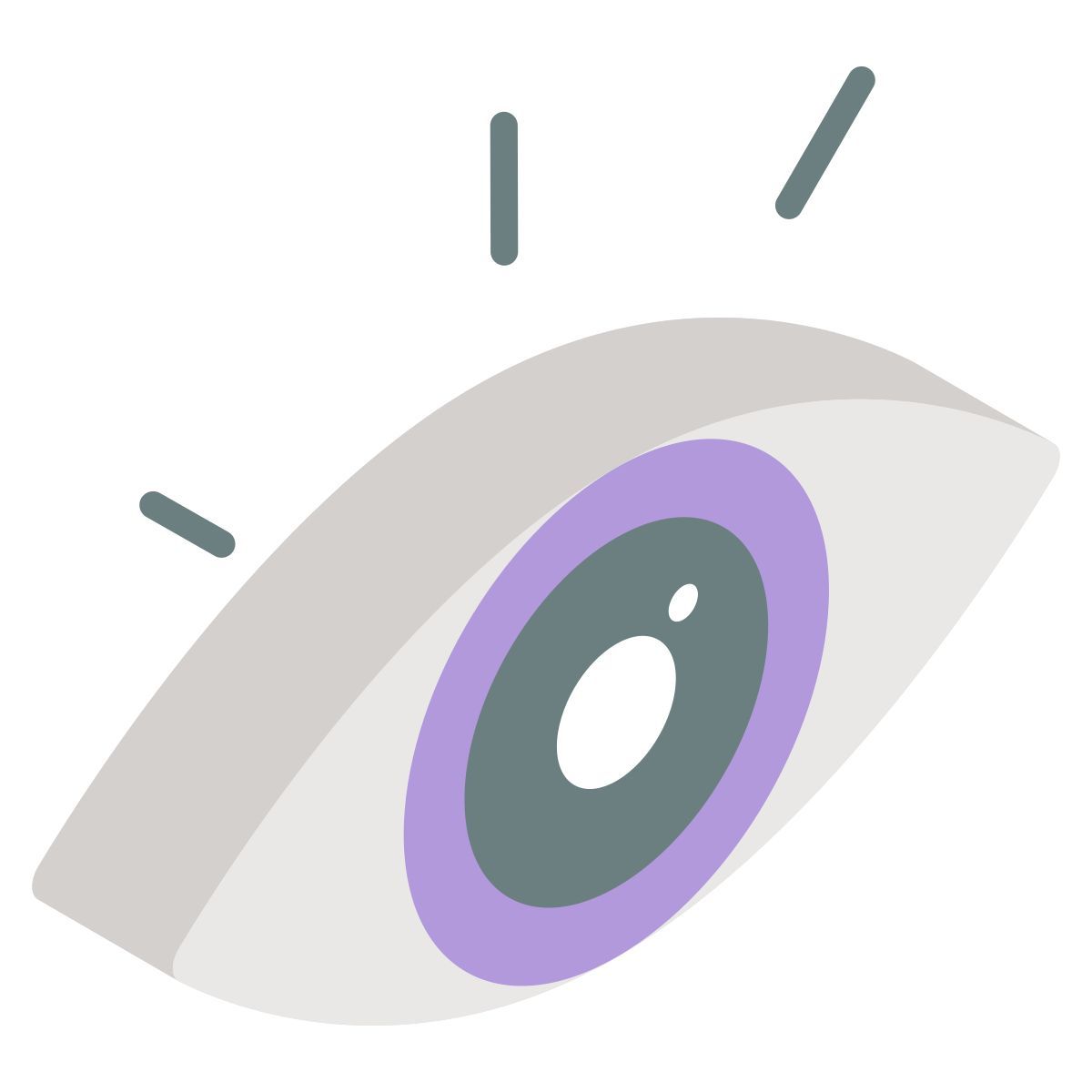 visible icon