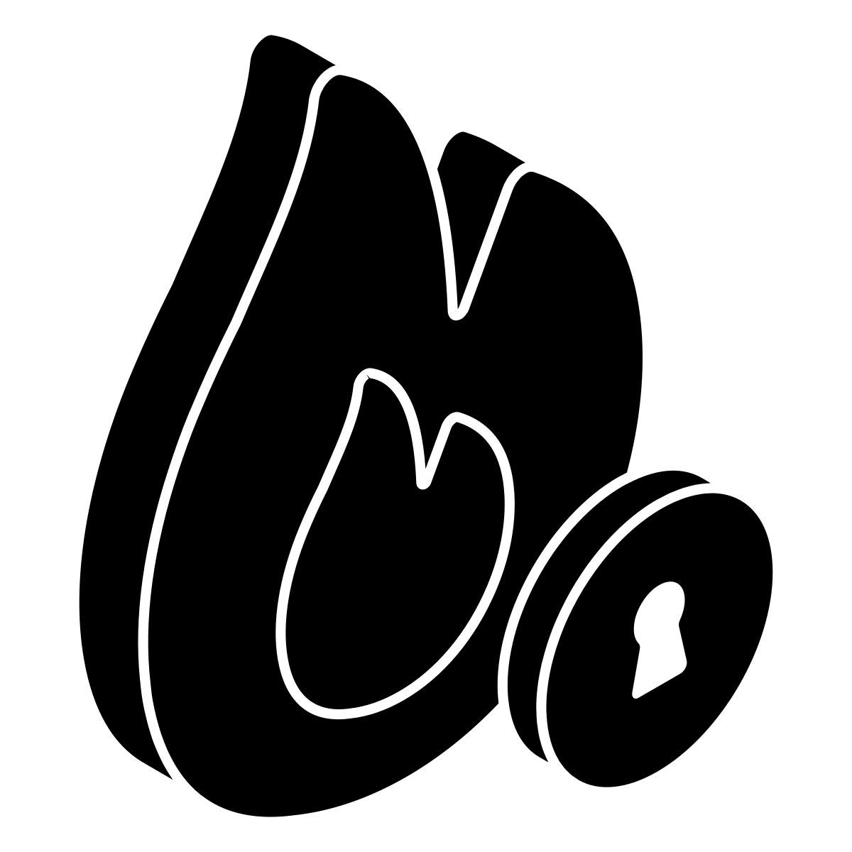 fire security icon