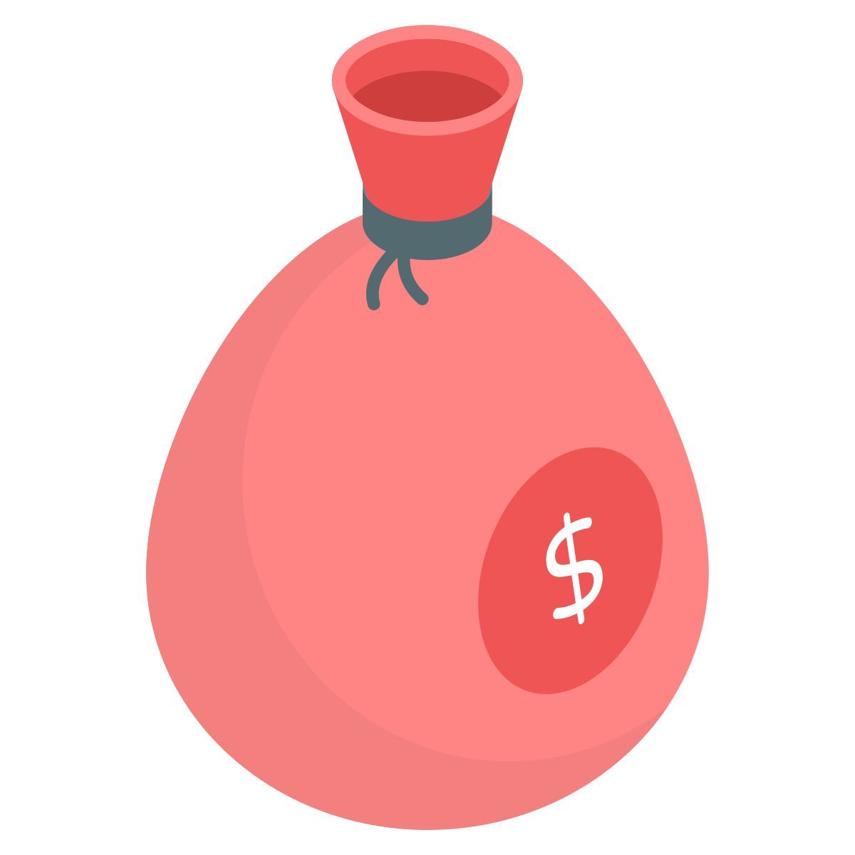 money bag icon