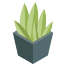 external Aloe-Vera-Plant-education-isometric-vectorslab icon