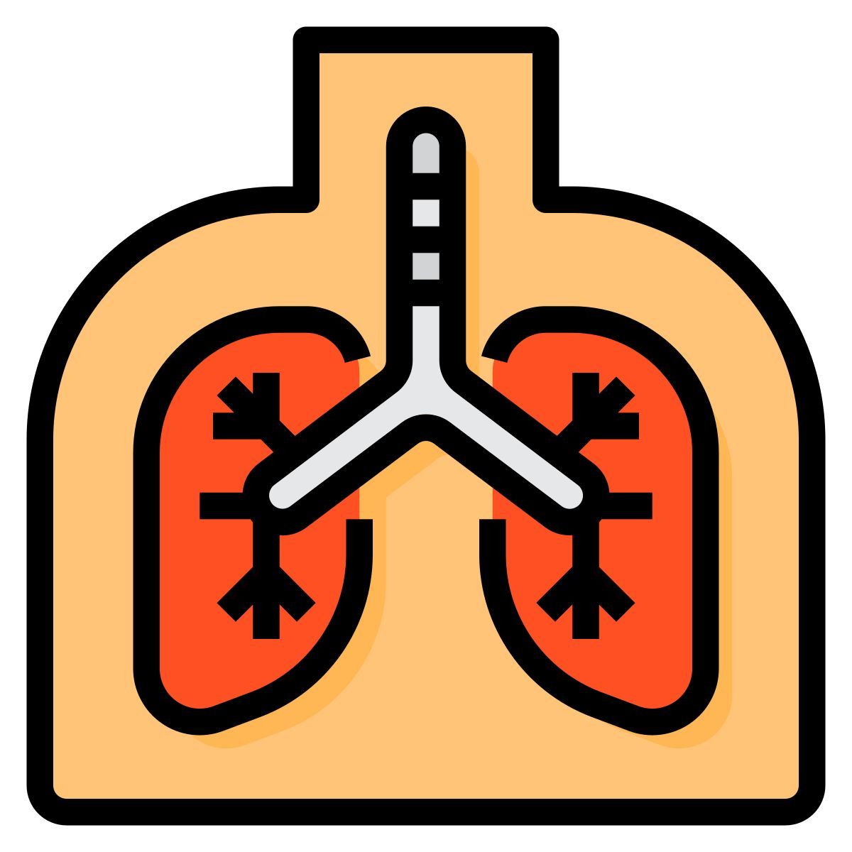 lungs icon