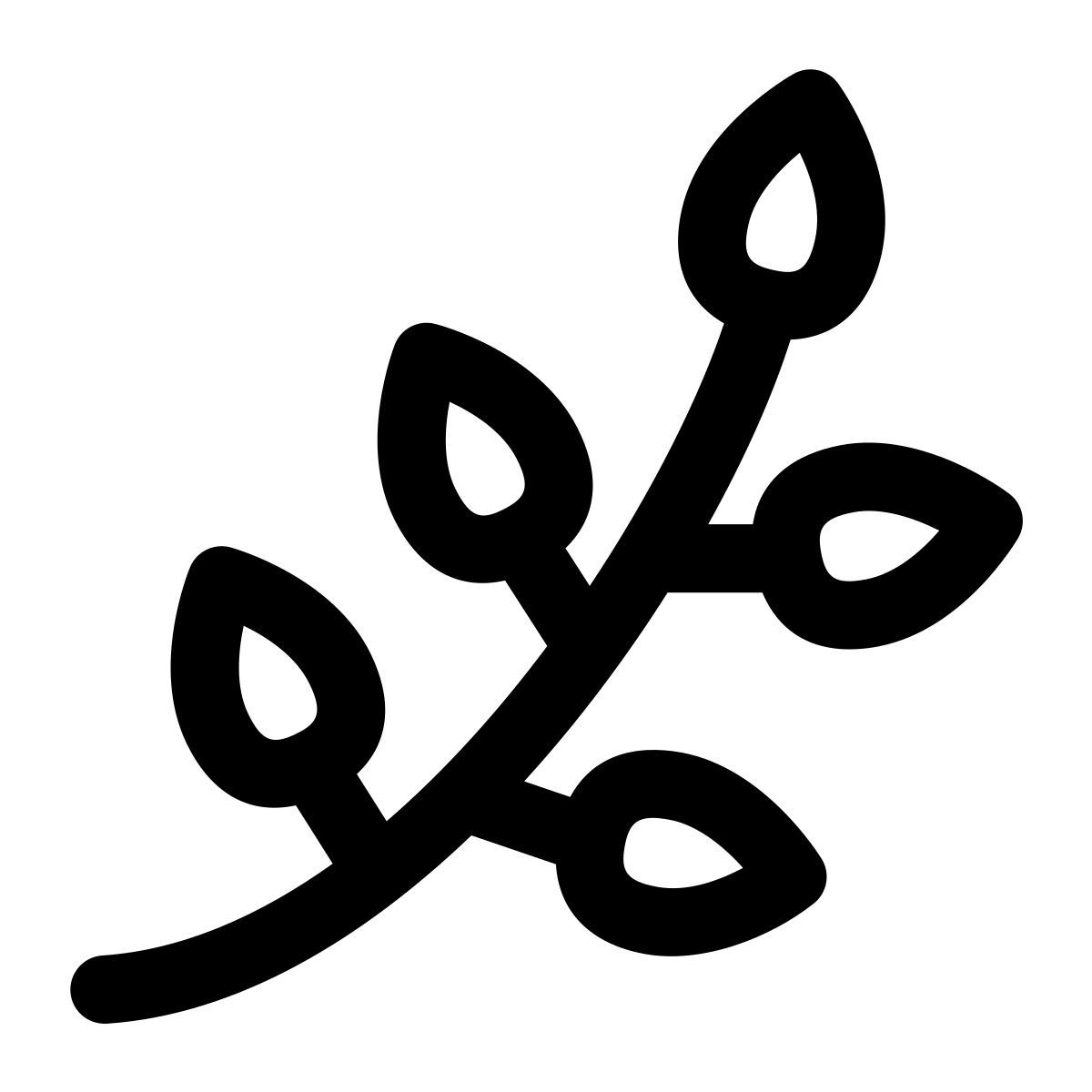 catkins icon