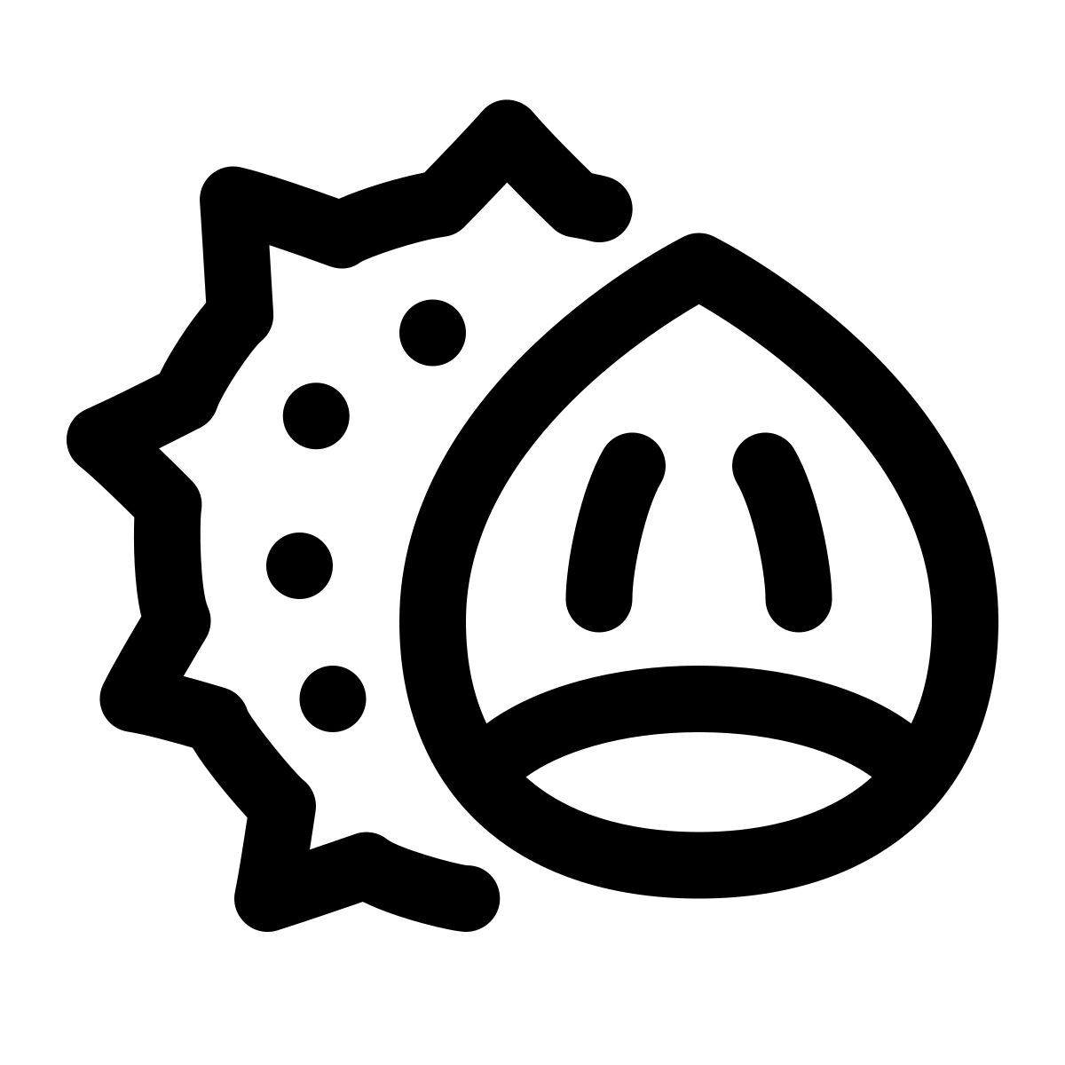 castanha icon