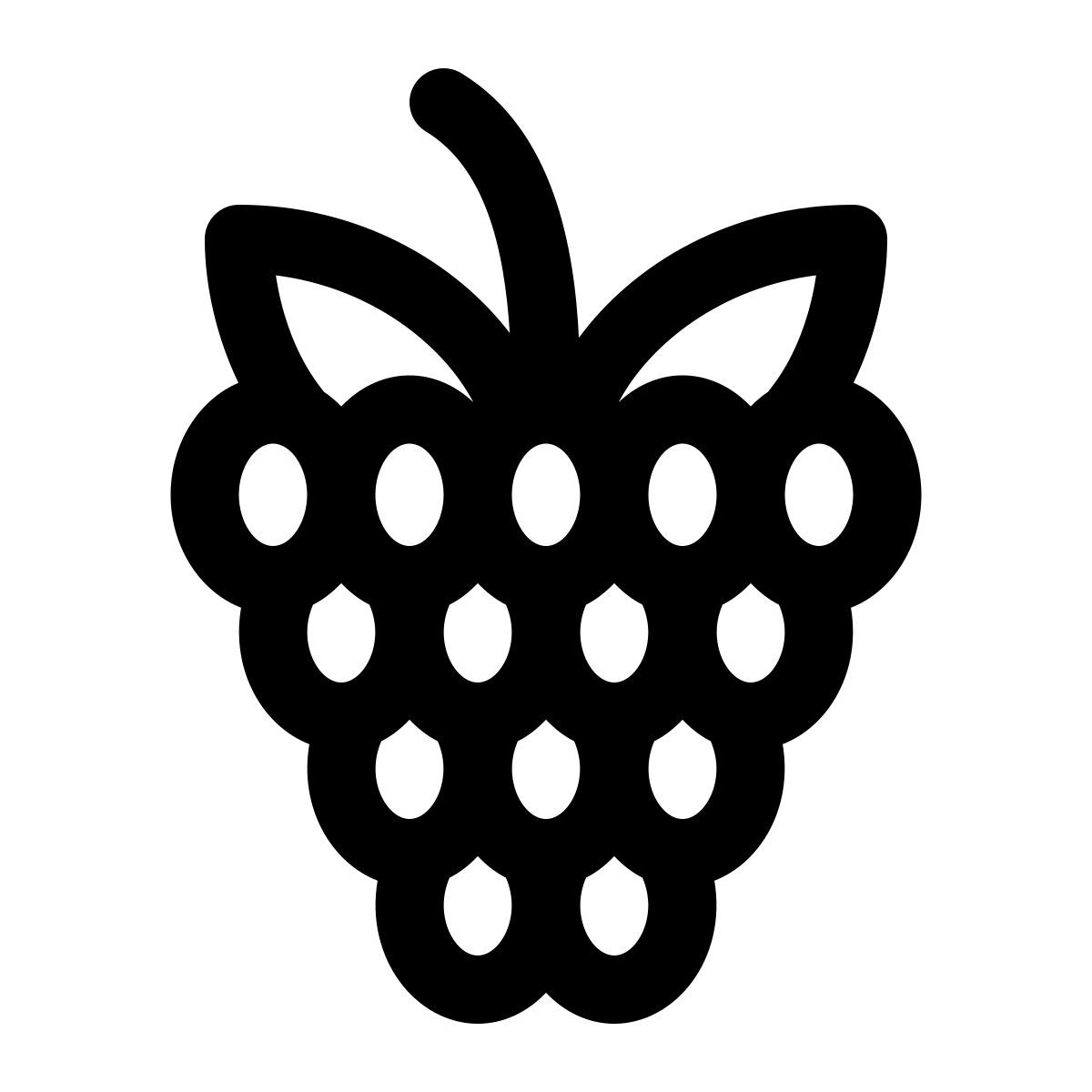 raspberry icon