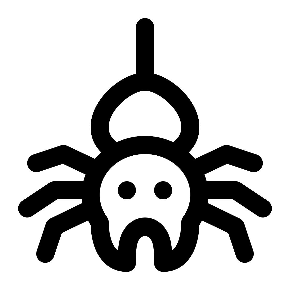 spinne icon