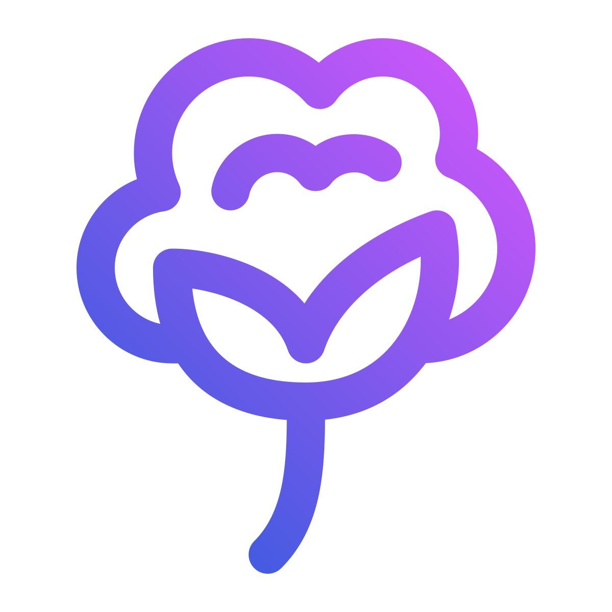 cotton flower icon