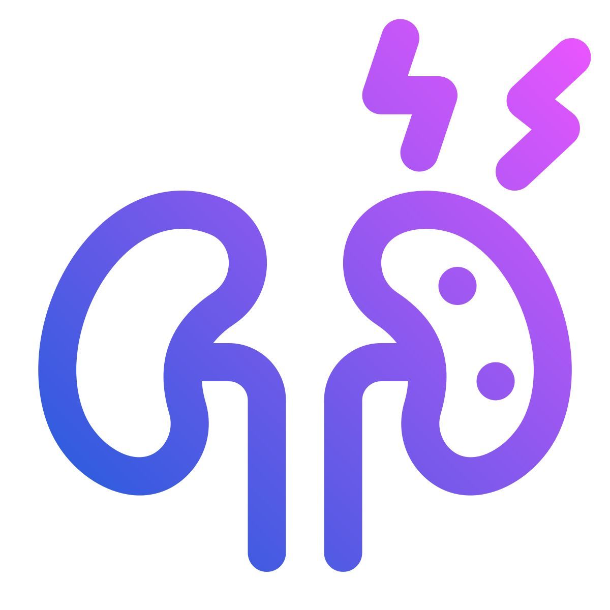 kidneys icon
