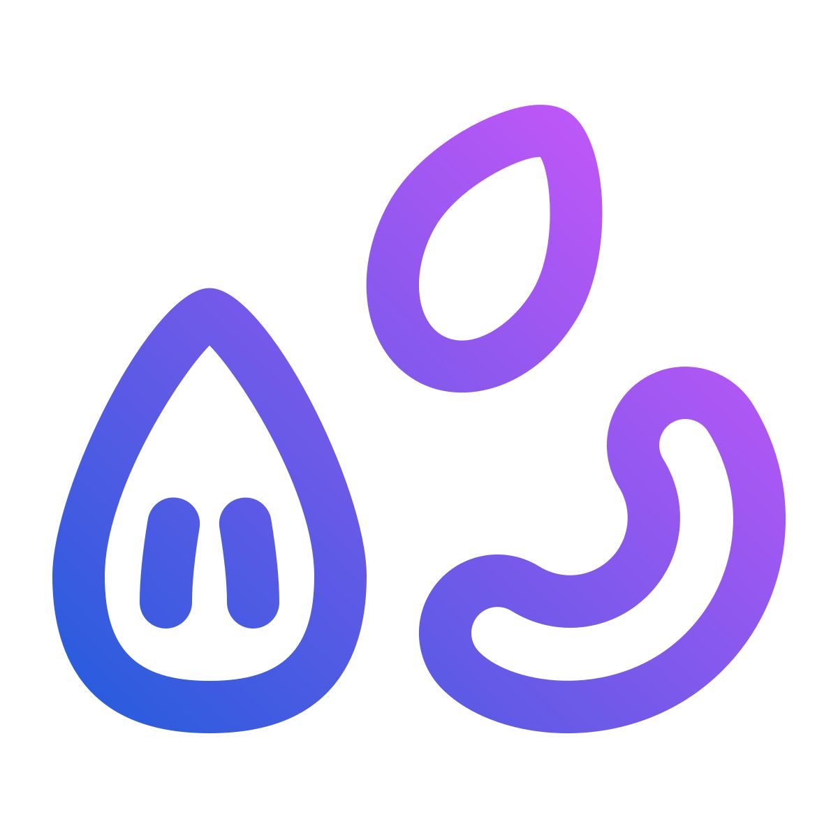 nuts icon