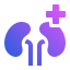 external Kidneys-diabetes-jumpicon-(solid-gradient)-jumpicon-solid-gradient-ayub-irawan-2 icon