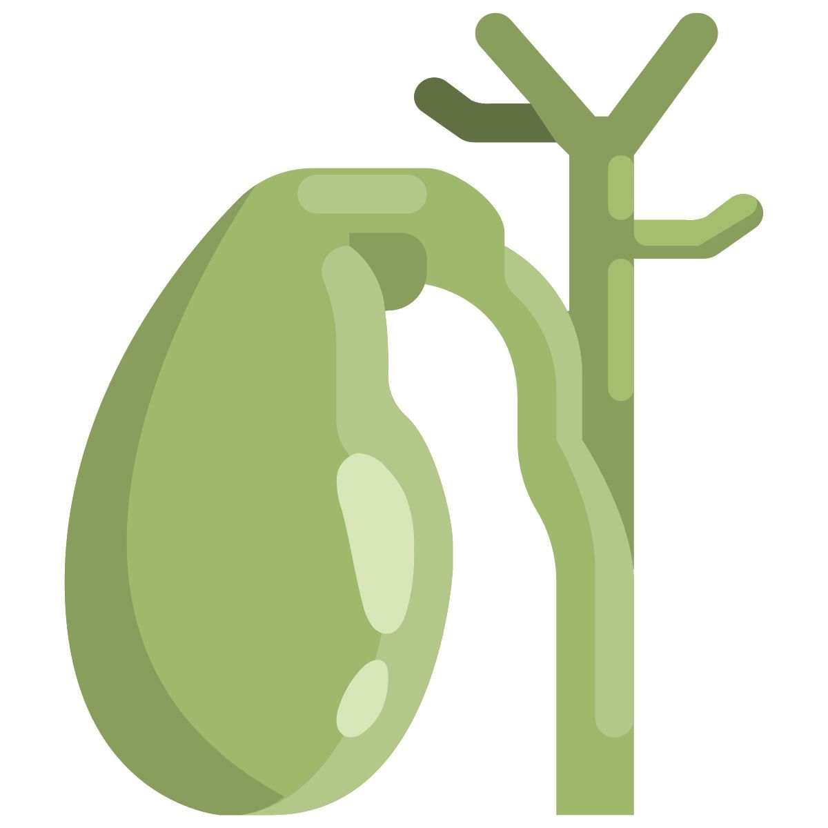 vesícula biliar icon