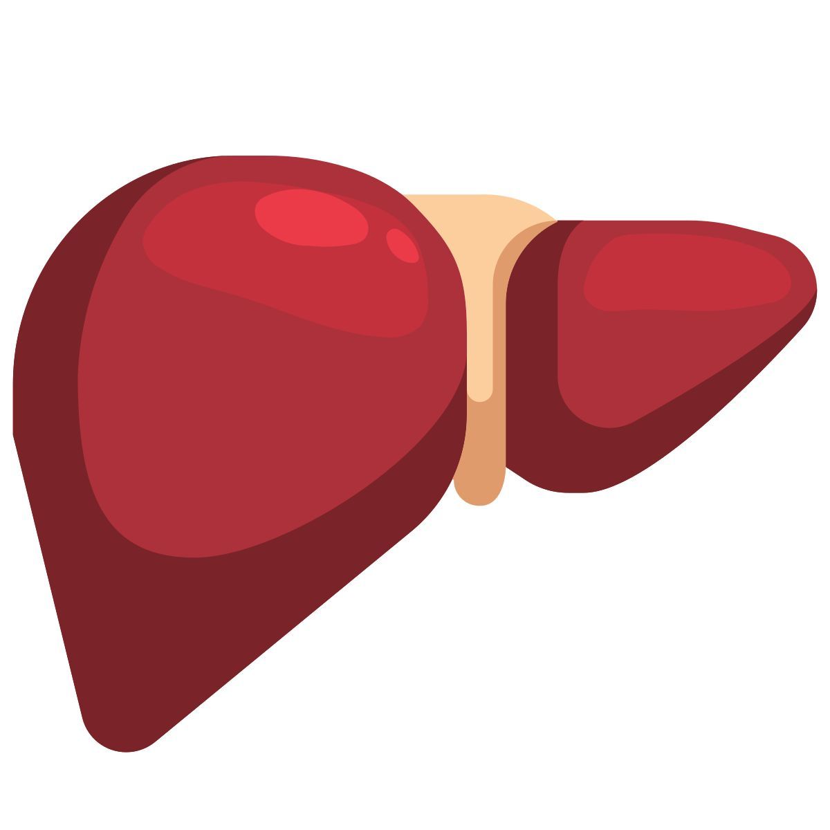 liver icon
