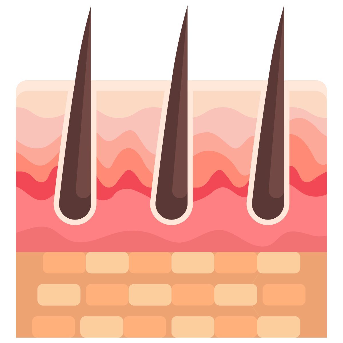 skin icon