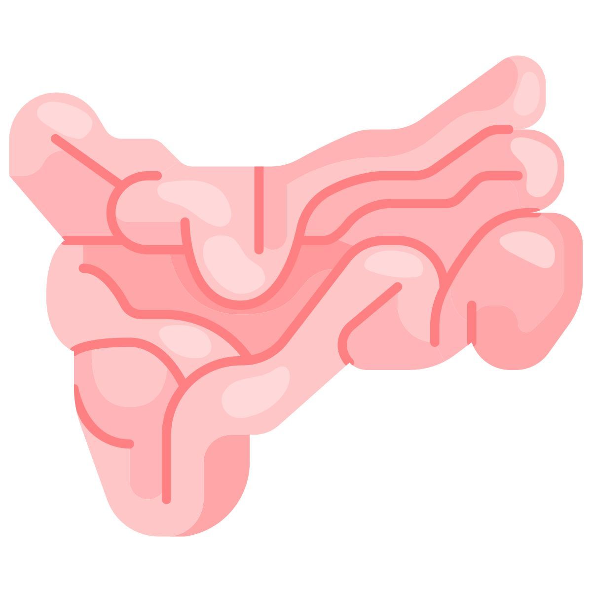 small intestine icon
