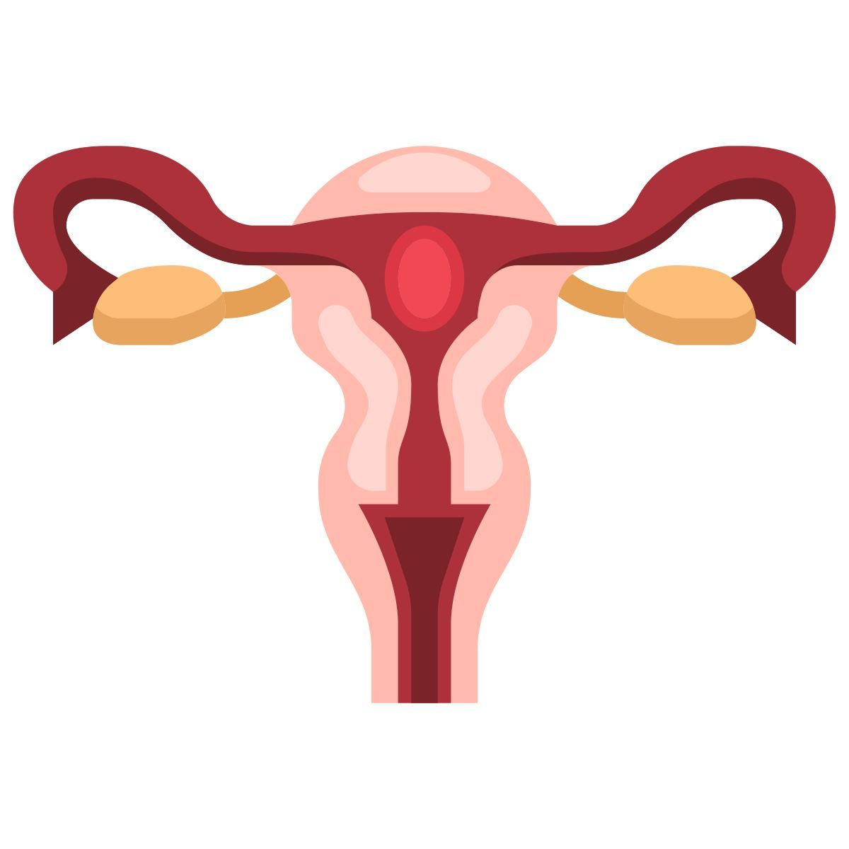 uterus icon
