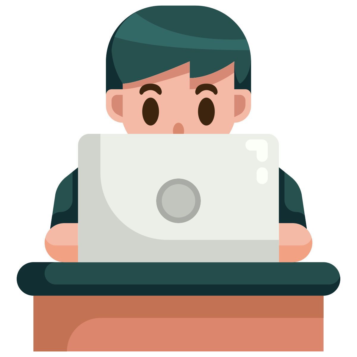 working at home icon