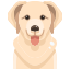 external dog-dog-and-cat-justicon-flat-justicon-1 icon