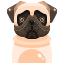 external dog-dog-and-cat-justicon-flat-justicon-4 icon