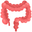 external intestine-human-organs-justicon-flat-justicon icon