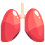 external lungs-human-organs-justicon-flat-justicon icon