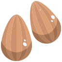 external almond-healthy-food-and-vegan-justicon-flat-justicon icon
