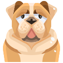 external dog-dog-and-cat-justicon-flat-justicon-2 icon