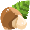external hazelnut-healthy-food-and-vegan-justicon-flat-justicon icon