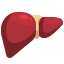 external liver-human-organs-justicon-flat-justicon icon