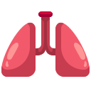 external lungs-hospital-justicon-flat-justicon icon