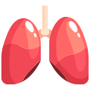 external lungs-human-organs-justicon-flat-justicon icon